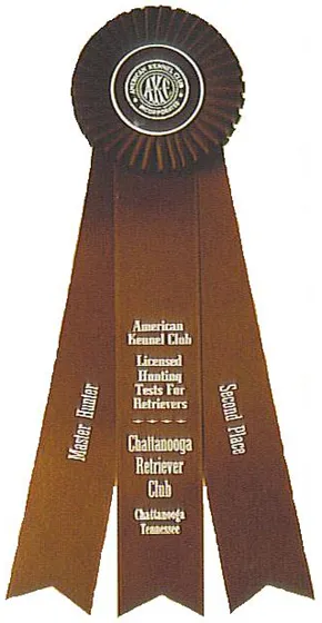 Brown single-head rosette with three streamers